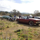 Regroup near Lopez Lake
